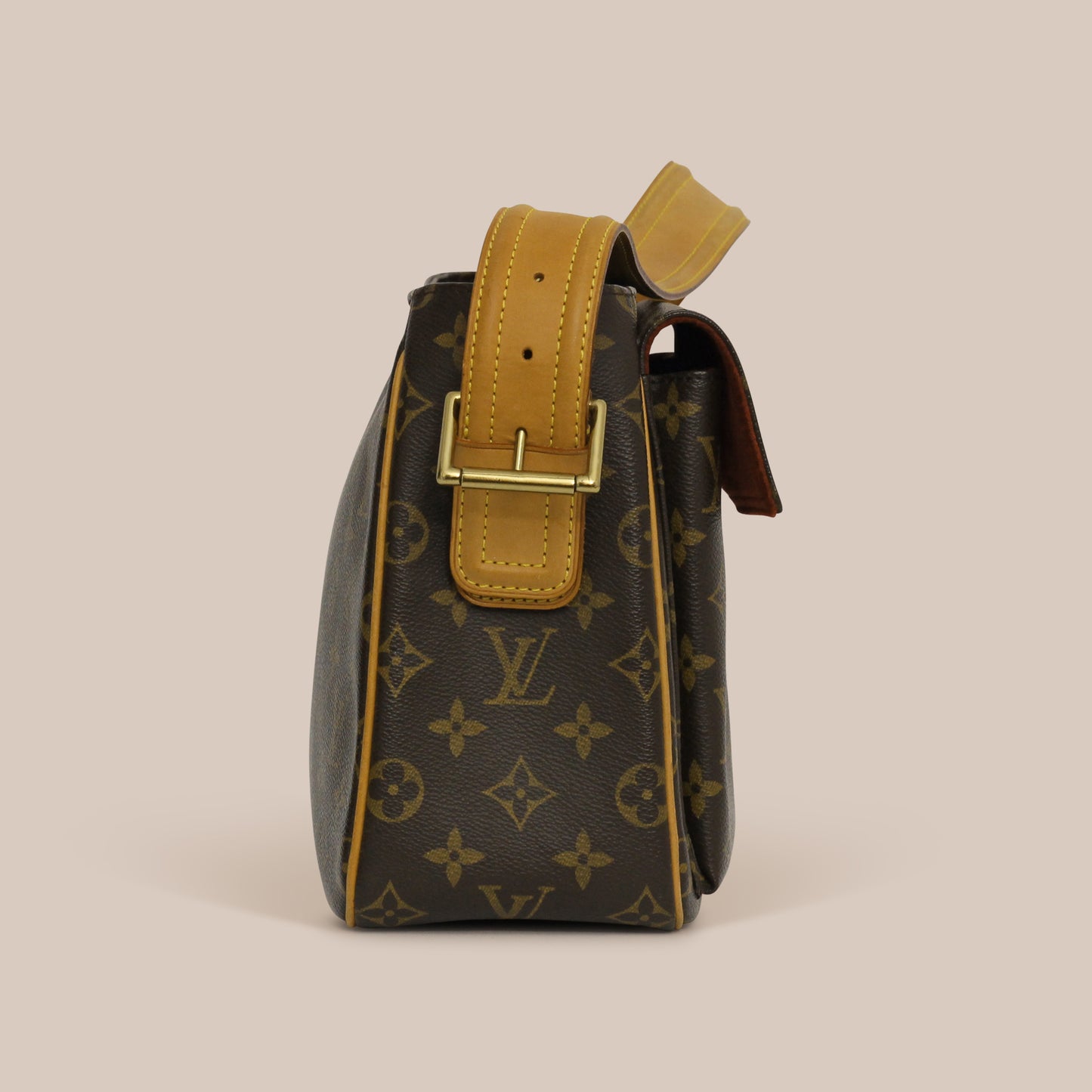 Louis Vuitton Monogram Viva Cite GM