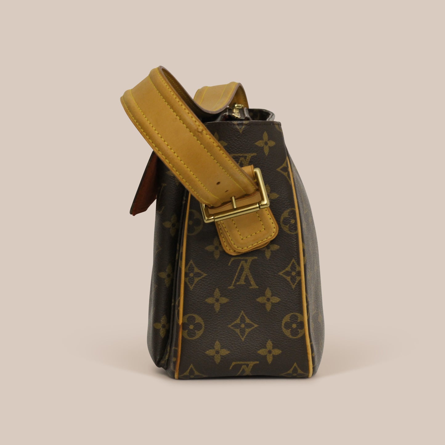 Louis Vuitton Monogram Viva Cite GM