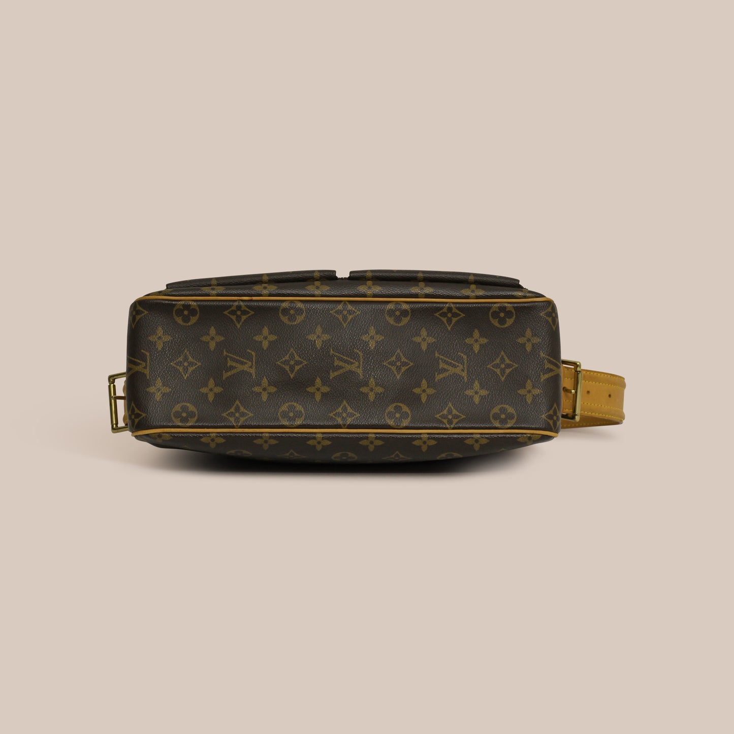 Louis Vuitton Monogram Viva Cite GM