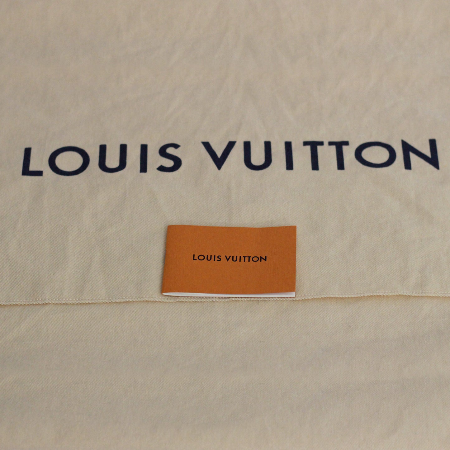 Louis Vuitton Giant Onthego MM