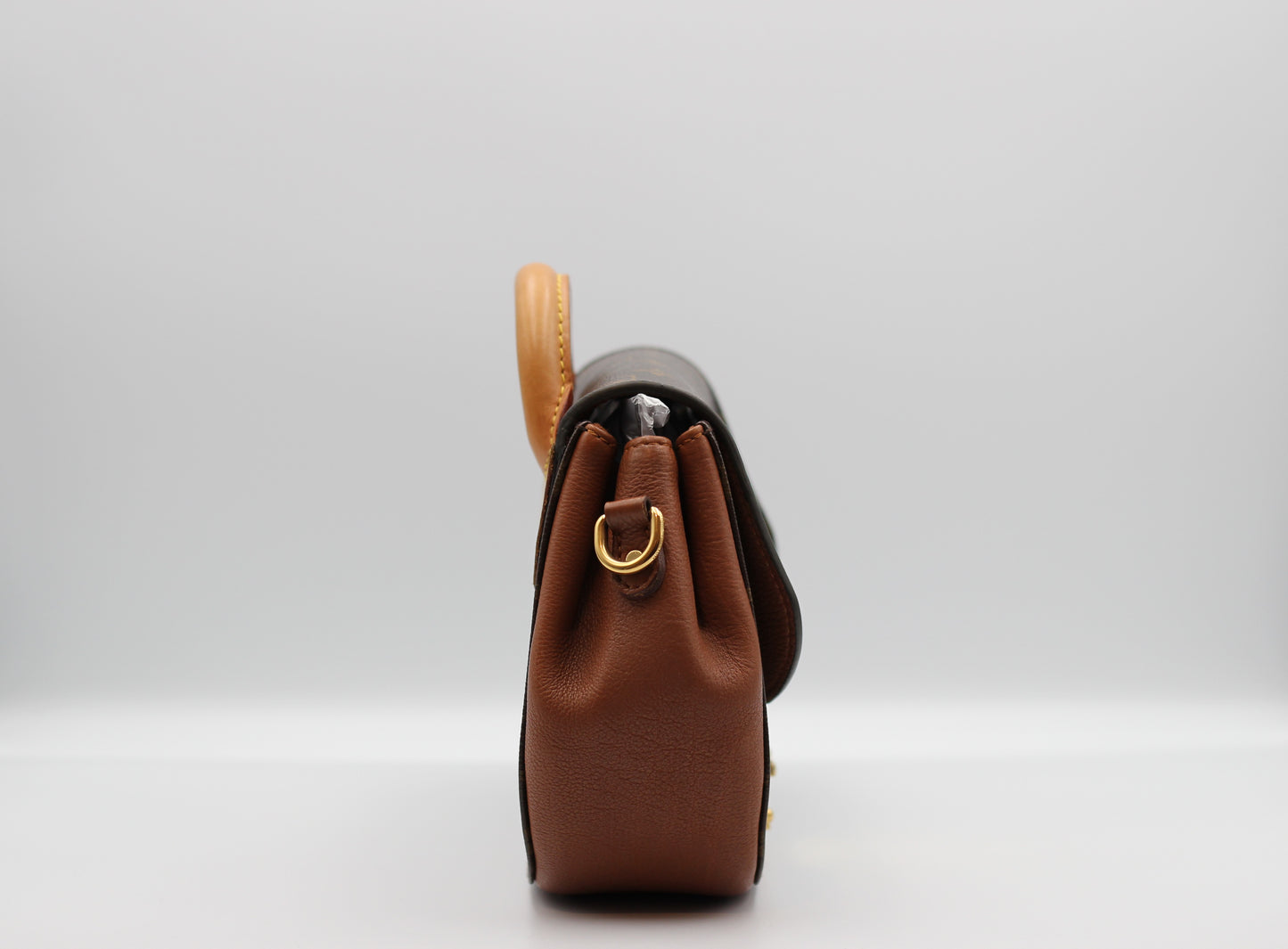 Louis Vuitton Eden Camel Monogram