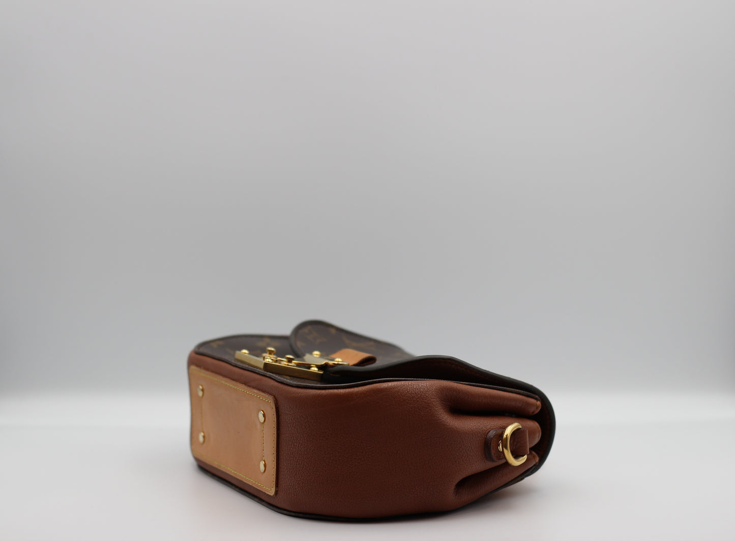 Louis Vuitton Eden Camel Monogram