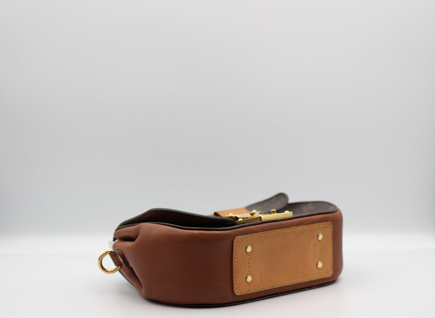 Louis Vuitton Eden Camel Monogram