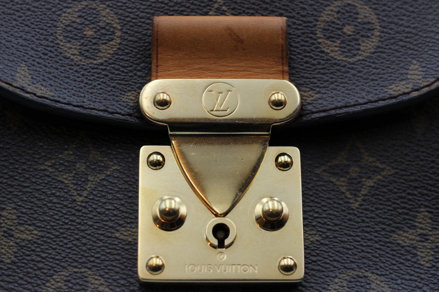 Louis Vuitton Eden Camel Monogram
