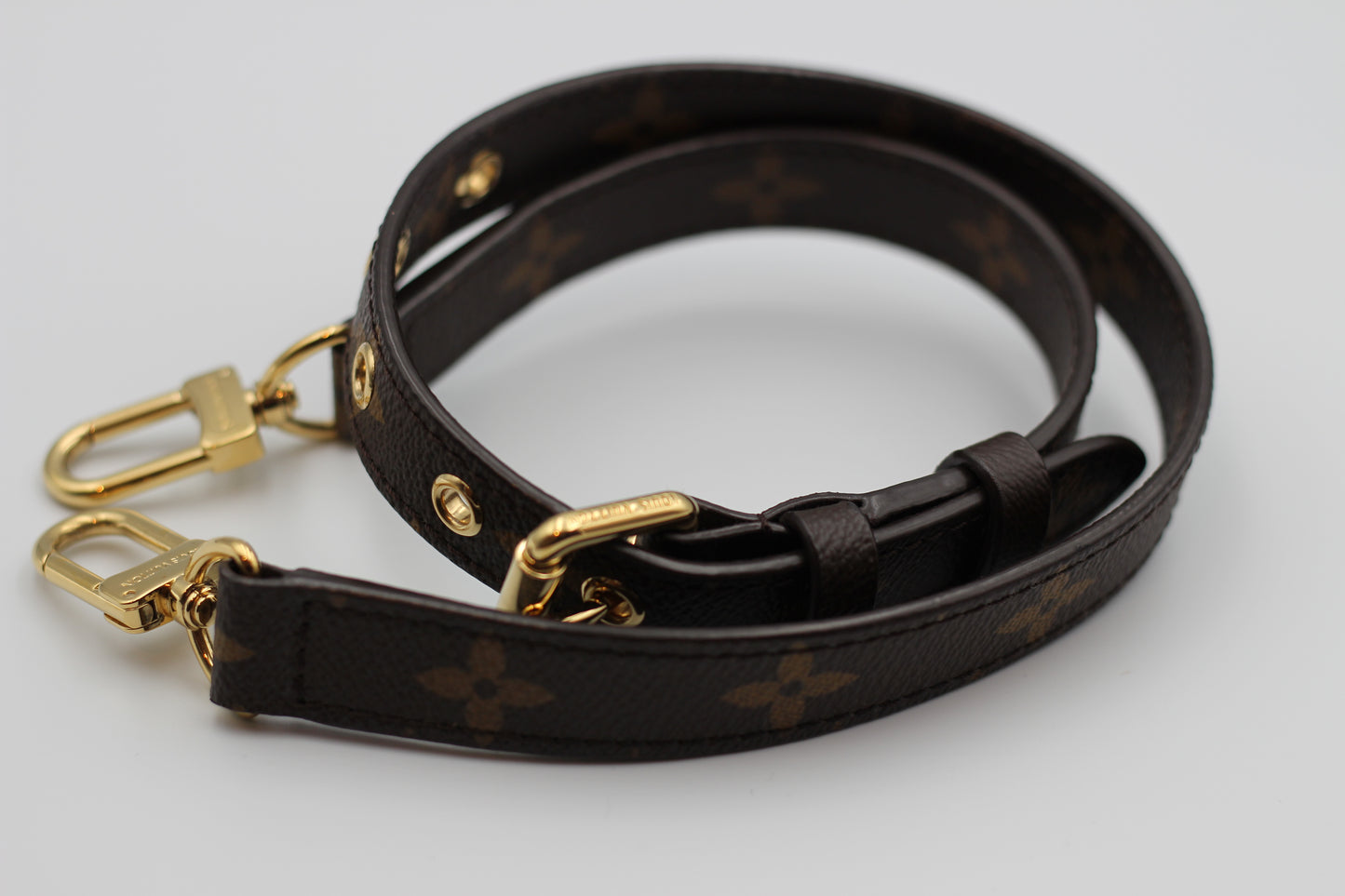 Louis Vuitton Eden Camel Monogram