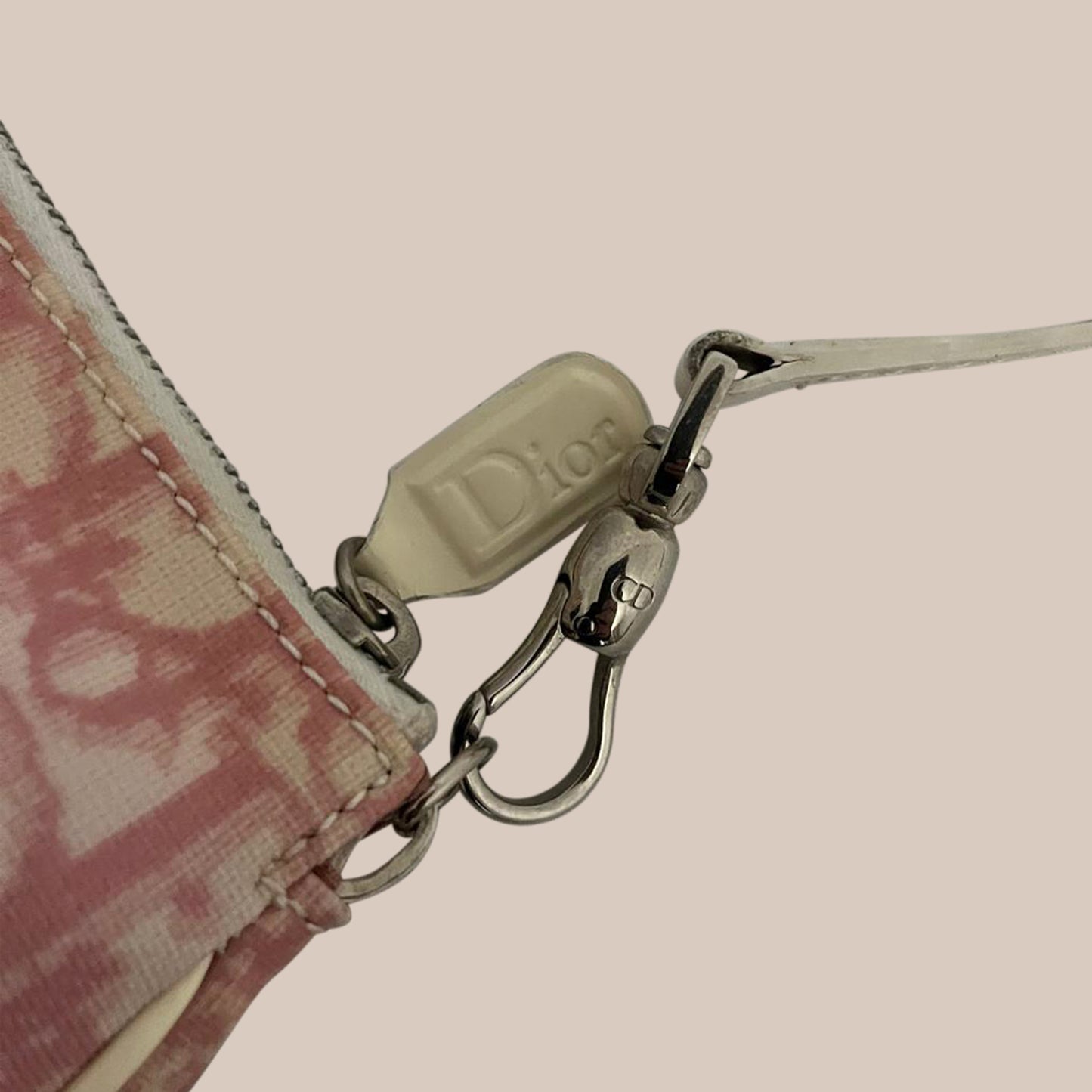 Christian Dior Trotter