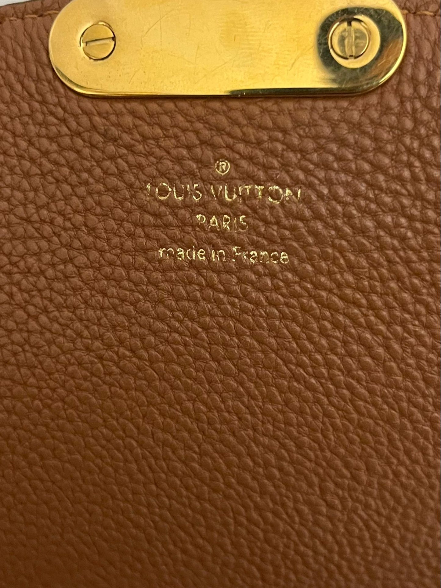 Louis Vuitton Eden Camel Monogram